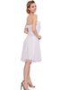 Chiffon A-Linie plissiertes normale Taille Jugendweihekleid mit Reißverschluss ohne Ärmeln - 4