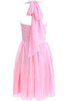 A Linie Nackenband Chiffon Reißverschluss Ärmelloses Cocktailkleid mit Plissierungen - 3
