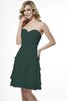 Reißverschluss Herz-Ausschnitt Normale Taille Chiffon Prinzessin Brautjungfernkleid - 8