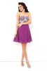 Prinzessin Normale Taille Chiffon Mini Cocktailkleid mit Reißverschluss - 3