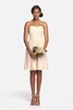 Moderno Vestido de Dama de Honor de Corte-A de Corto de Escote Corazón de Encaje Adorno - 9