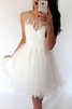 Robe fête de la rentrée naturel en tulle encolure ronde manche nulle de princesse - 1