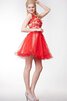 Vestido de 15 años de Corte-A en Encaje de Plisado de Corto de Volante - 3