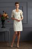 Robe mère de mariée courte appliques en taffetas de fourreau fermeutre eclair - 1