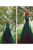 Ärmelloses Prinzessin Normale Taille Bodenlanges Abendkleid aus Tüll - 2