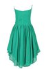 Robe demoiselle d'honneur plissé naturel fermeutre eclair en chiffon ligne a - 4
