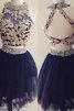 Faszinierend Nackenband Tüll Normale Taille Mini Abiballkleid - 1