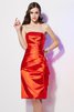 Plissiertes Ärmelloses Enges Natürliche Taile Reißverschluss Cocktailkleid - 1