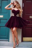 Umwerfend Prinzessin Mini Jugendweihekleid aus Organza mit Applike