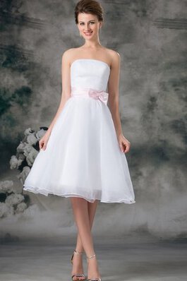 Robe douce seize en organza a-ligne avec sans manches de bustier