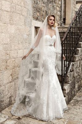 Glamouroso&Dramatico Vestido de Novia de Corte Recto de Cola Barriba de Cordón