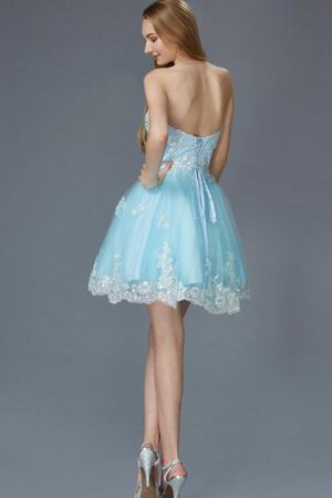 Robe de graduation bref moderne en tulle a-ligne de lotus - Photo 3