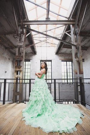 Gericht Schleppe A-Linie Ein Schulter natürliche Taile Herz-Ausschnitt Abendkleid - Bild 1