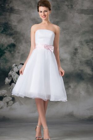 Vestido de 15 años de Corte-A en Organza de Escote sin tirantes de Sin mangas - Foto 1