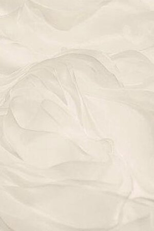 Schlüsselloch Rücken Spitze bodenlanges Brautkleid mit Bordüre mit Applikation - Bild 1