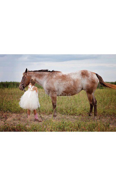 Robe de cortège enfant de lotus avec fleurs avec perle avec ruban de mode de bal - Photo 4